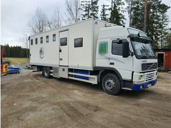 شاحنة ماشية VOLVO FM7