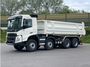 شاحنة خلاطة خرسانة للبيع  Volvo FMX 460 8x4 / WECHSELSYSTEM KIPPER+MISCHER: صورة 2