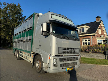 شاحنة ماشية VOLVO FH12 500