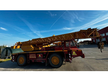 رافعة لجميع التضاريس LIEBHERR LTM 1025