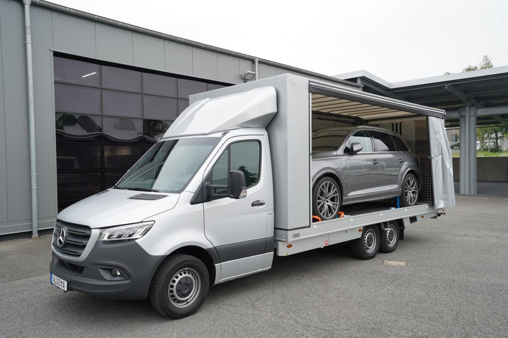 شاحنة نقل سيارات شاحنة, شاحنة توصيل مغلقة للبيع  Mercedes-Benz Sprinter 619 ALGEMA BLITZLADER 2 - GESCHLOSSEN: صورة 6