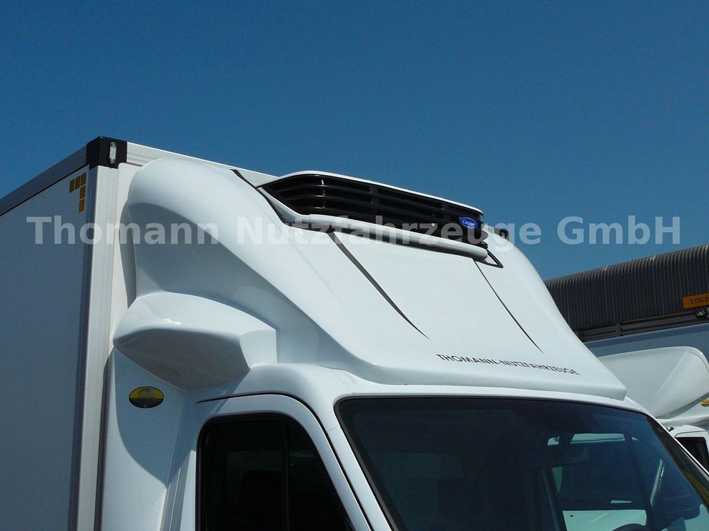 شاحنة توصيل مبردة للبيع  Renault Master Kühlkoffer mit LBW Xarios 300 GH: صورة 15